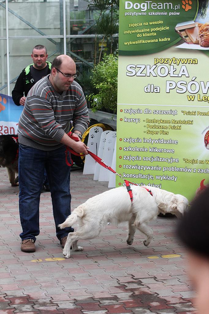  Majówka z Majewskimi