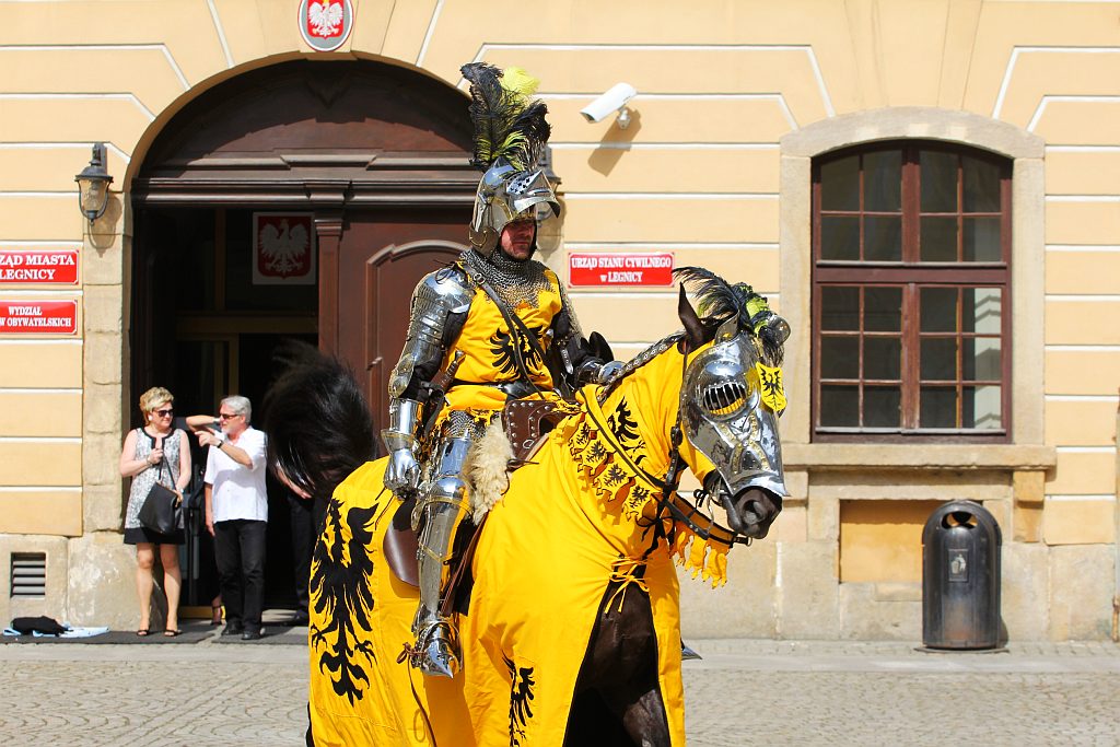 Rycerze wolności, strażnicy praw