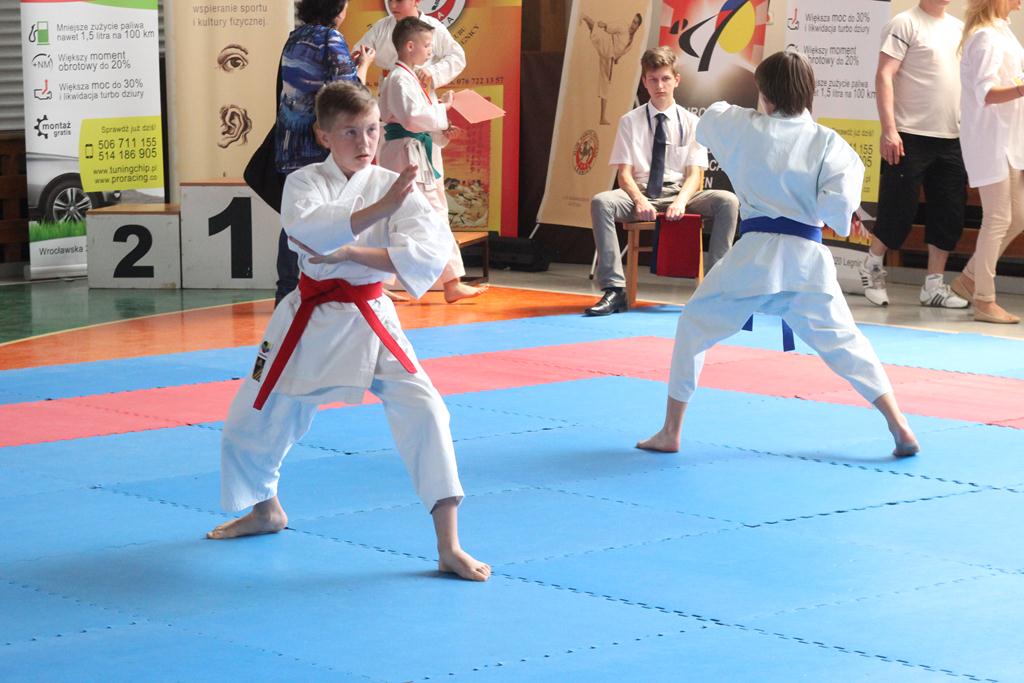 XXIII Puchar Dolnego Śląska w Karate WKF SILESIA CUP 2014 cz1