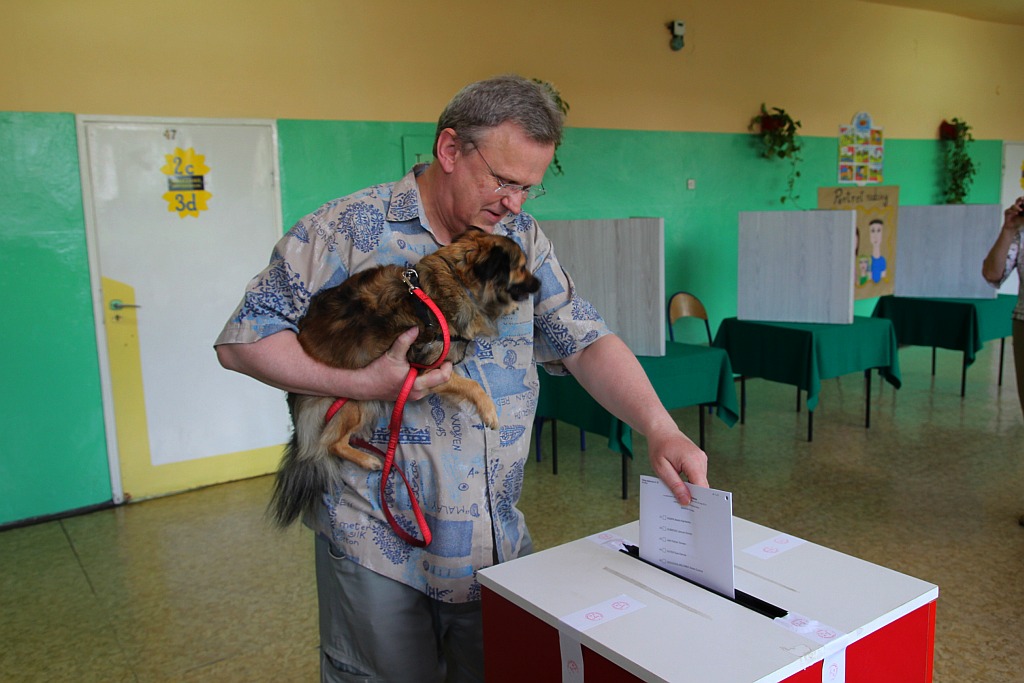 Legniczanie wybierali europosłów