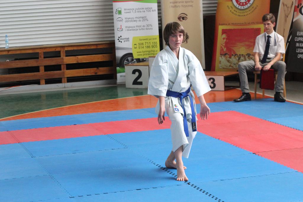XXIII Puchar Dolnego Śląska w Karate WKF SILESIA CUP 2014 cz1
