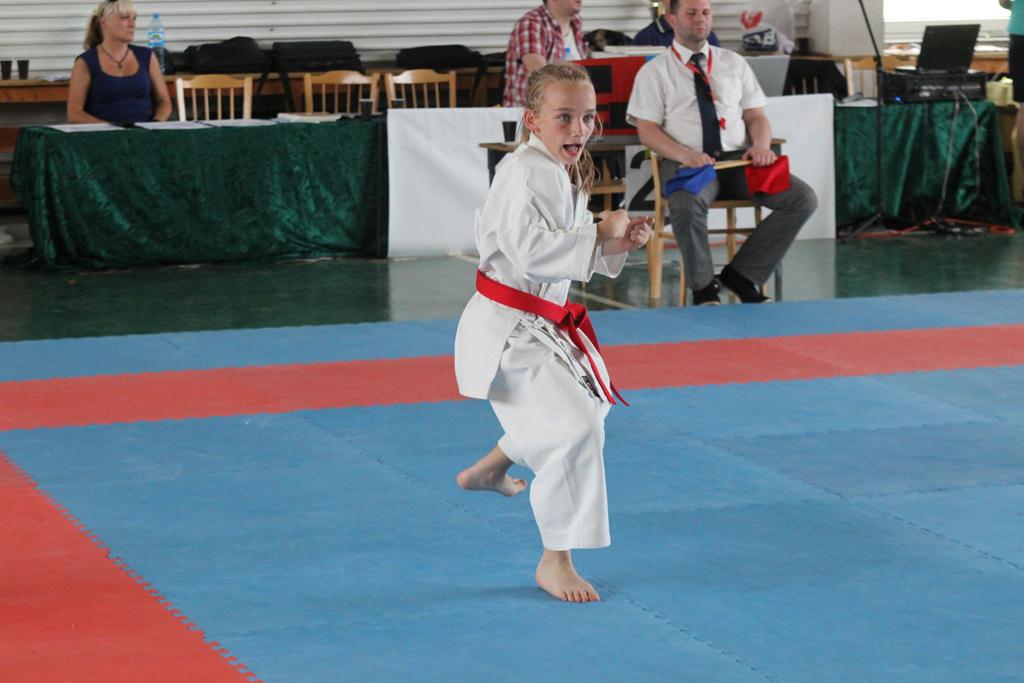 XXIII Puchar Dolnego Śląska w Karate WKF SILESIA CUP 2014 cz3