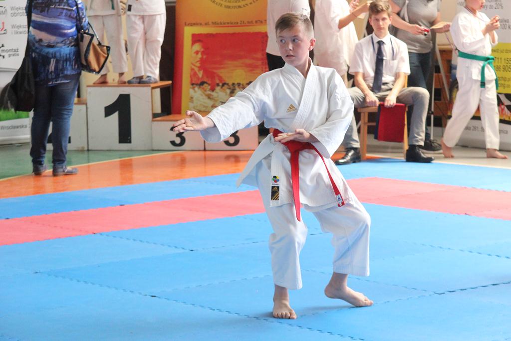 XXIII Puchar Dolnego Śląska w Karate WKF SILESIA CUP 2014 cz3
