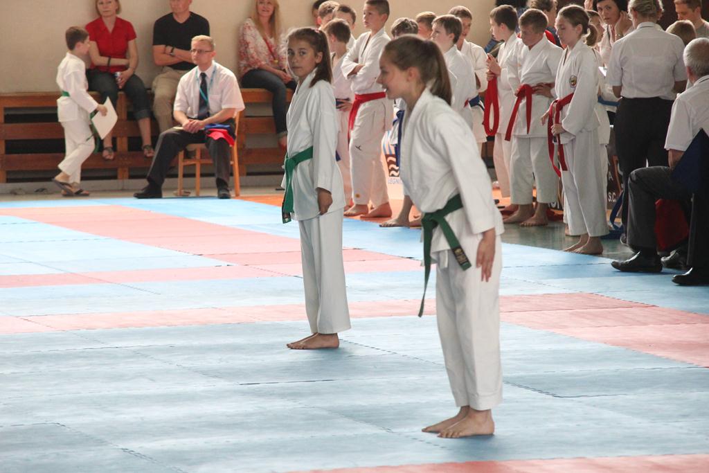 XXIII Puchar Dolnego Śląska w Karate WKF SILESIA CUP 2014 cz1