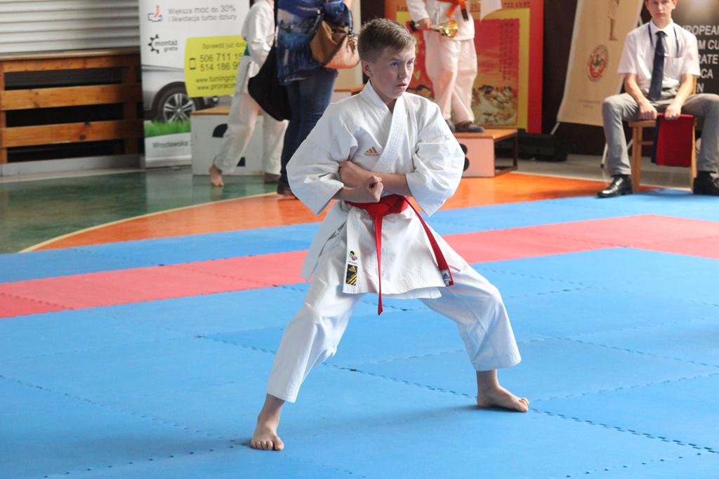 XXIII Puchar Dolnego Śląska w Karate WKF SILESIA CUP 2014 cz3