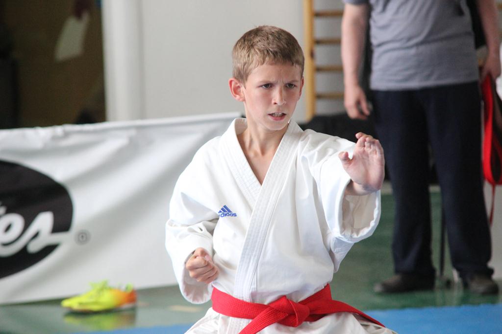 XXIII Puchar Dolnego Śląska w Karate WKF SILESIA CUP 2014 cz3
