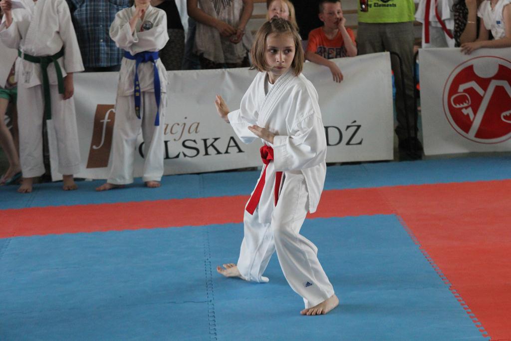 XXIII Puchar Dolnego Śląska w Karate WKF SILESIA CUP 2014 cz3