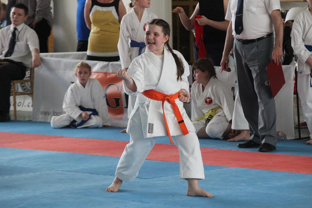 XXIII Puchar Dolnego Śląska w Karate WKF SILESIA CUP 2014 cz1