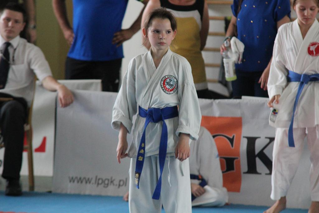 XXIII Puchar Dolnego Śląska w Karate WKF SILESIA CUP 2014 cz1