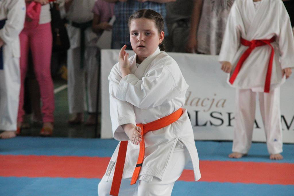 XXIII Puchar Dolnego Śląska w Karate WKF SILESIA CUP 2014 cz1