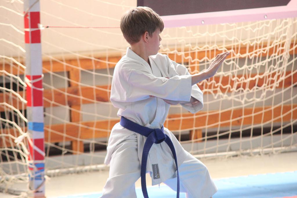 XXIII Puchar Dolnego Śląska w Karate WKF SILESIA CUP 2014 cz1