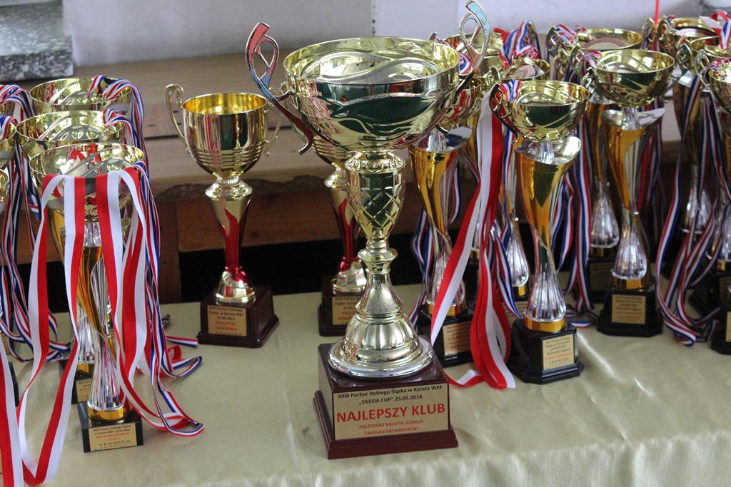 XXIII Puchar Dolnego Śląska w Karate WKF SILESIA CUP 2014 cz1