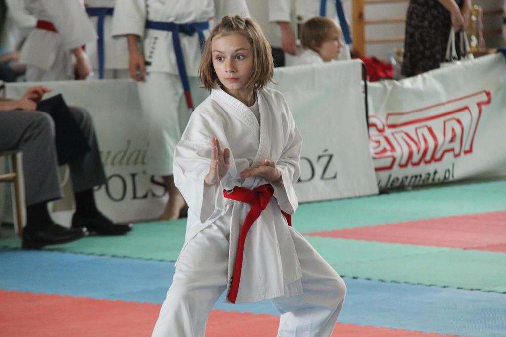 XXIII Puchar Dolnego Śląska w Karate WKF SILESIA CUP 2014 cz1