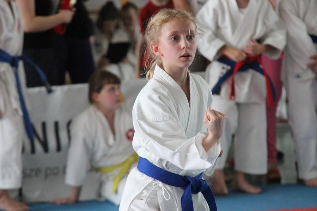 XXIII Puchar Dolnego Śląska w Karate WKF SILESIA CUP 2014 cz1