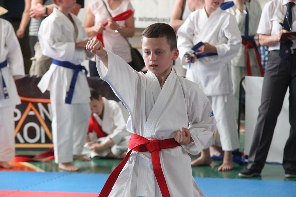 XXIII Puchar Dolnego Śląska w Karate WKF SILESIA CUP 2014 cz1
