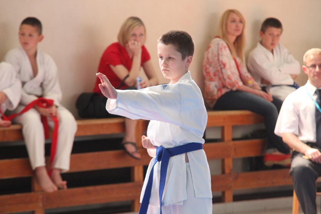 XXIII Puchar Dolnego Śląska w Karate WKF SILESIA CUP 2014 cz1