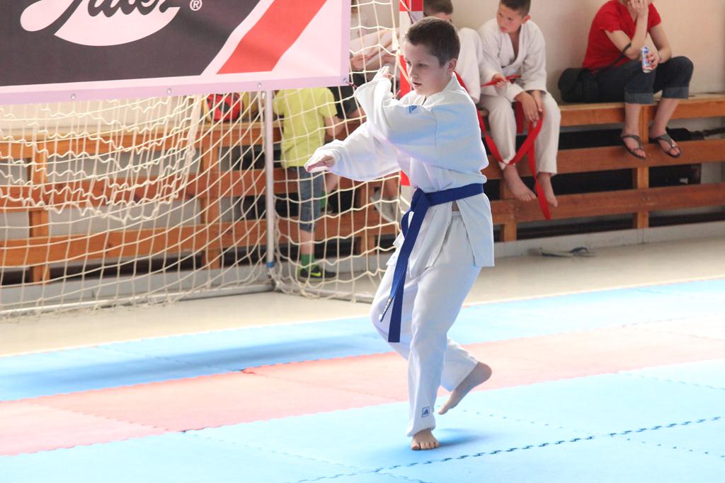 XXIII Puchar Dolnego Śląska w Karate WKF SILESIA CUP 2014 cz1