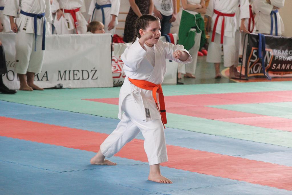 XXIII Puchar Dolnego Śląska w Karate WKF SILESIA CUP 2014 cz1