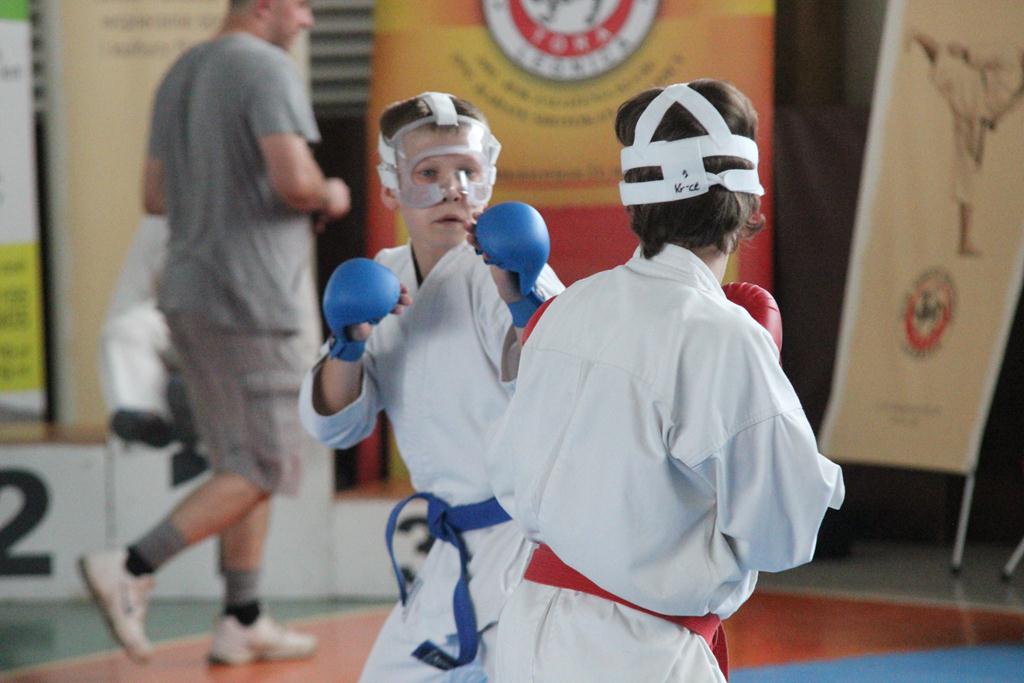 XXIII Puchar Dolnego Śląska w Karate WKF SILESIA CUP 2014 cz3
