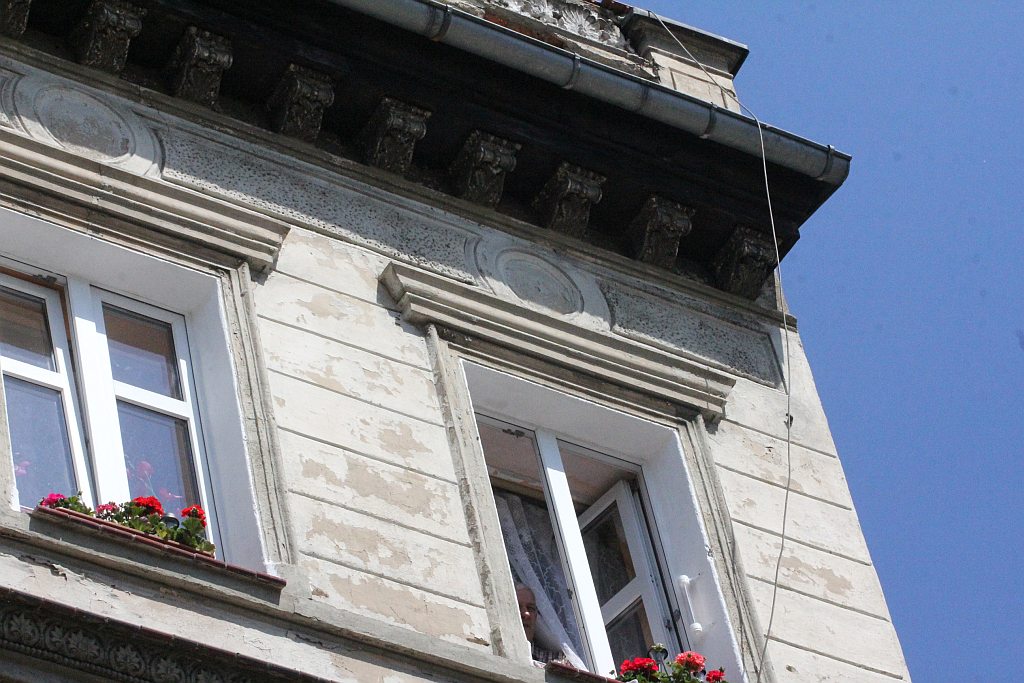 Strażacy zneutralizowali gniazdo os