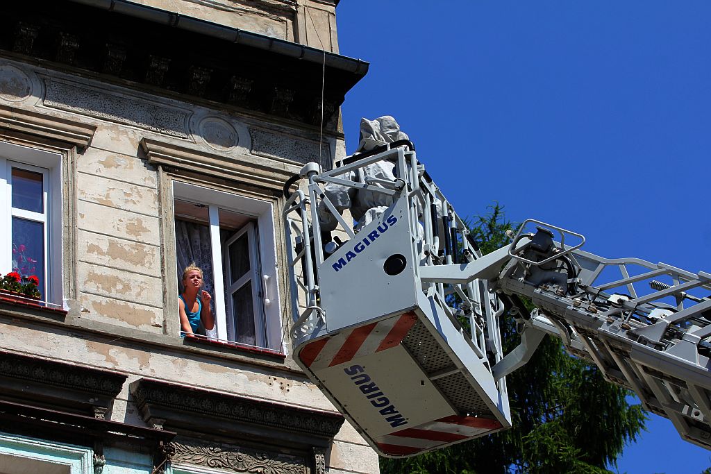 Strażacy zneutralizowali gniazdo os