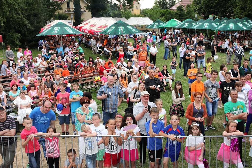 Henrykalia w Legnickim Polu