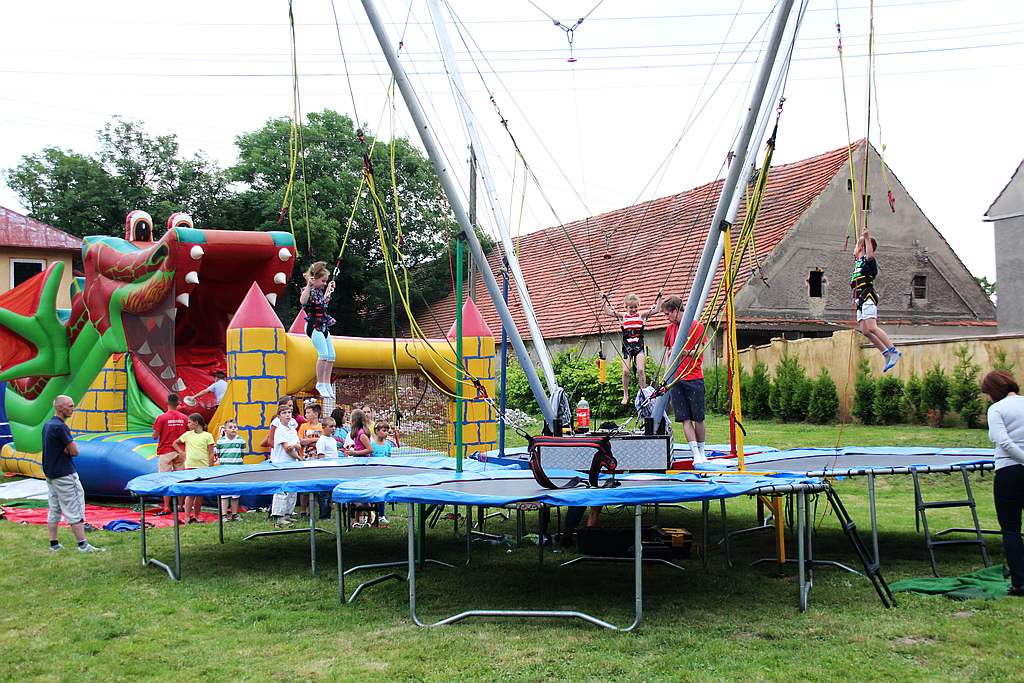 Henrykalia w Legnickim Polu