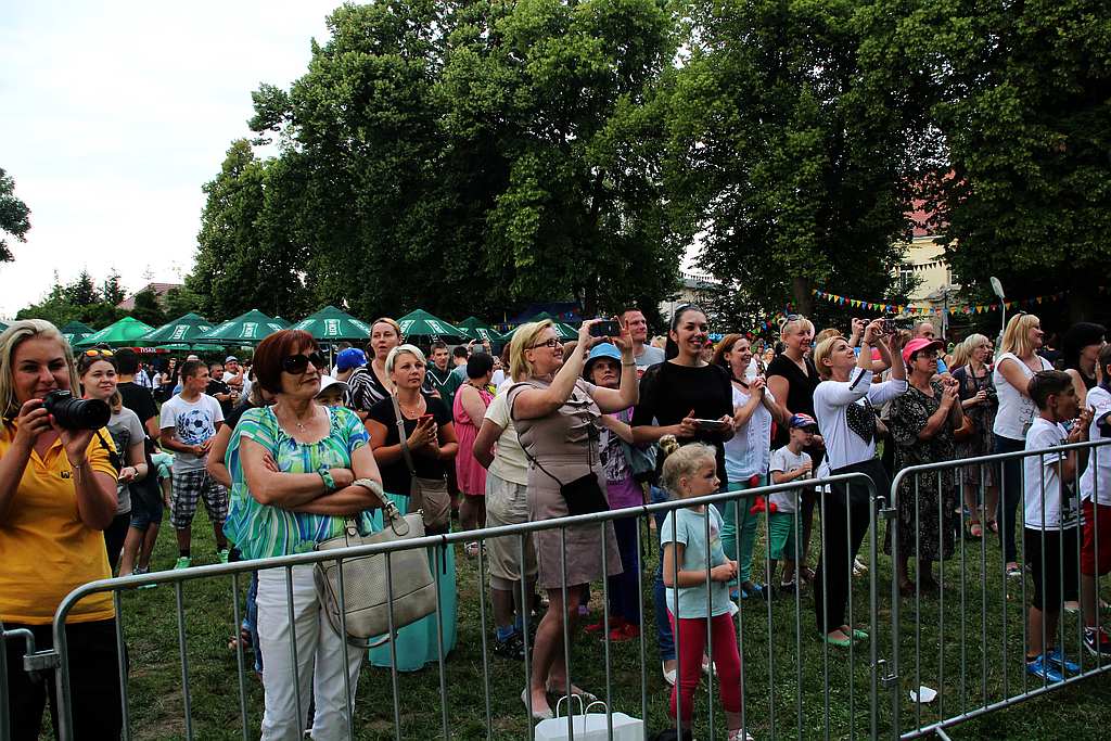 Henrykalia w Legnickim Polu