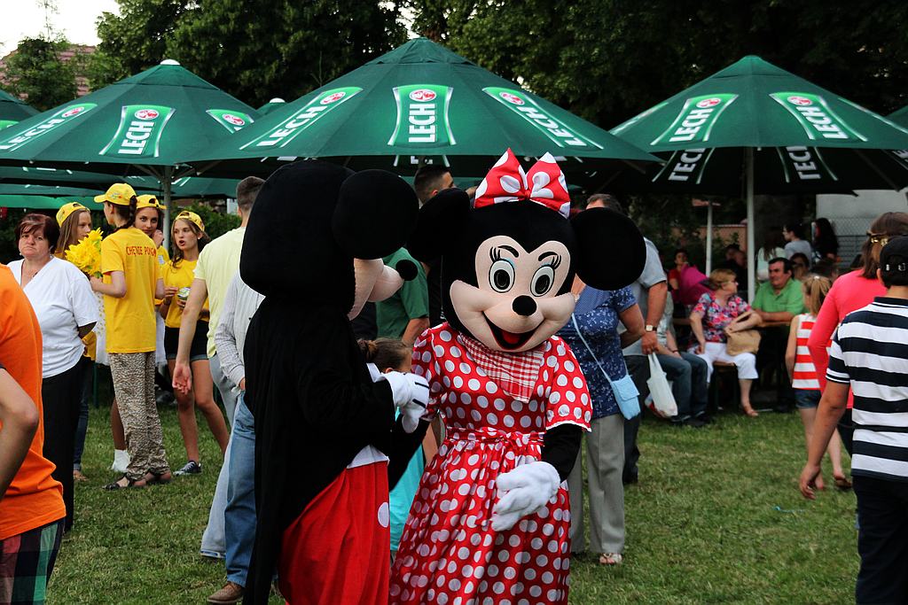 Henrykalia w Legnickim Polu