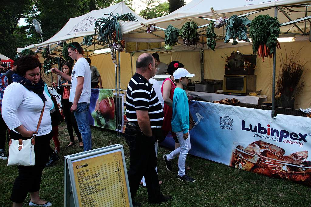 Henrykalia w Legnickim Polu