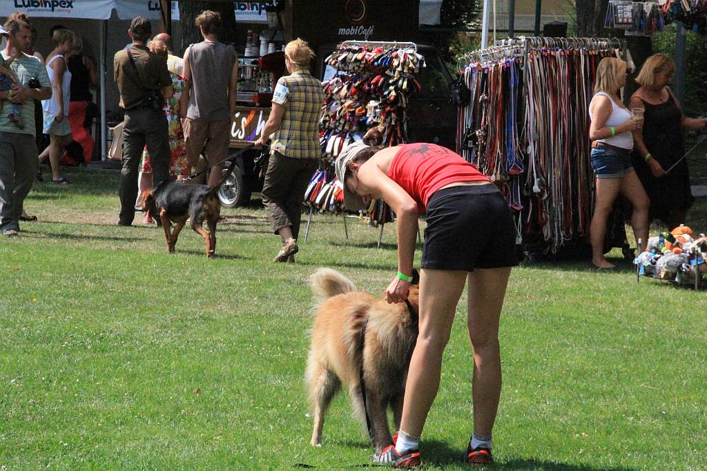 Psy pasterskie i myśliwskie w Legnickim Polu