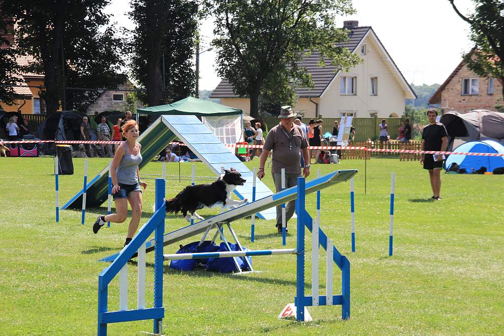 Psy pasterskie i myśliwskie w Legnickim Polu