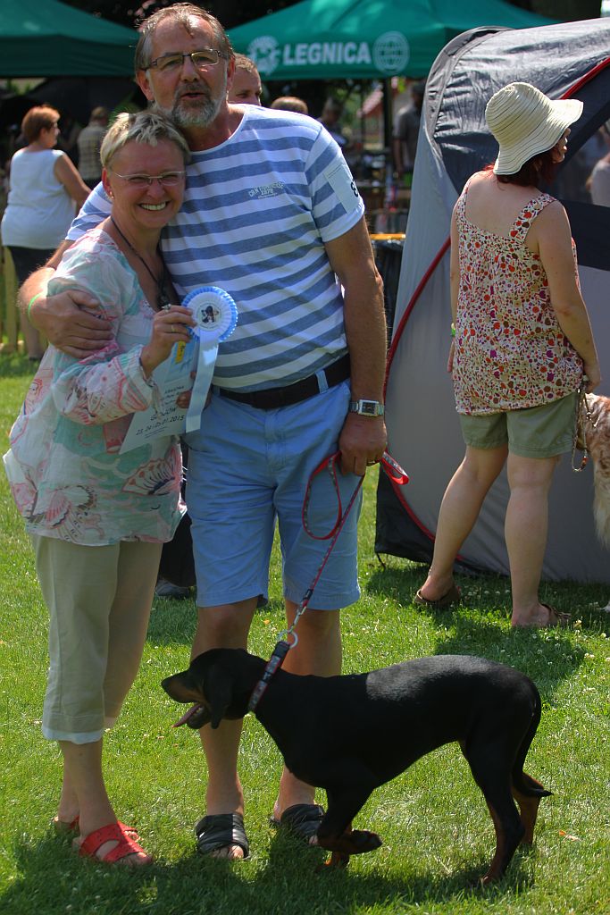 Psy pasterskie i myśliwskie w Legnickim Polu