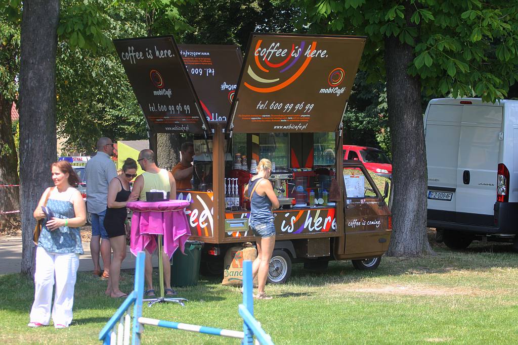 Psy pasterskie i myśliwskie w Legnickim Polu