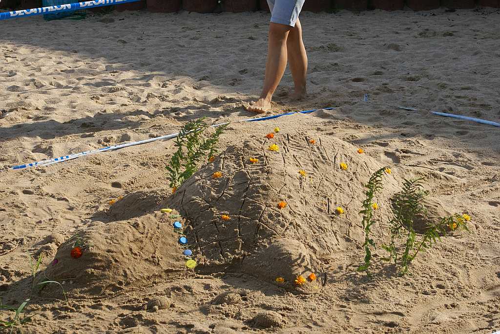 Piaskownica 2014