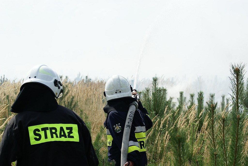 Pożar lasu koło Prochowic