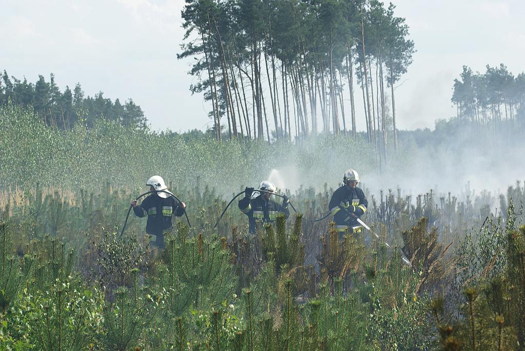 Pożar lasu koło Prochowic