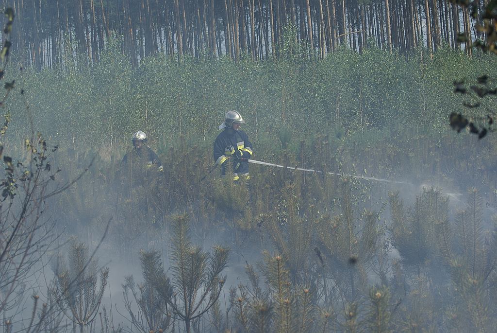 Pożar lasu koło Prochowic