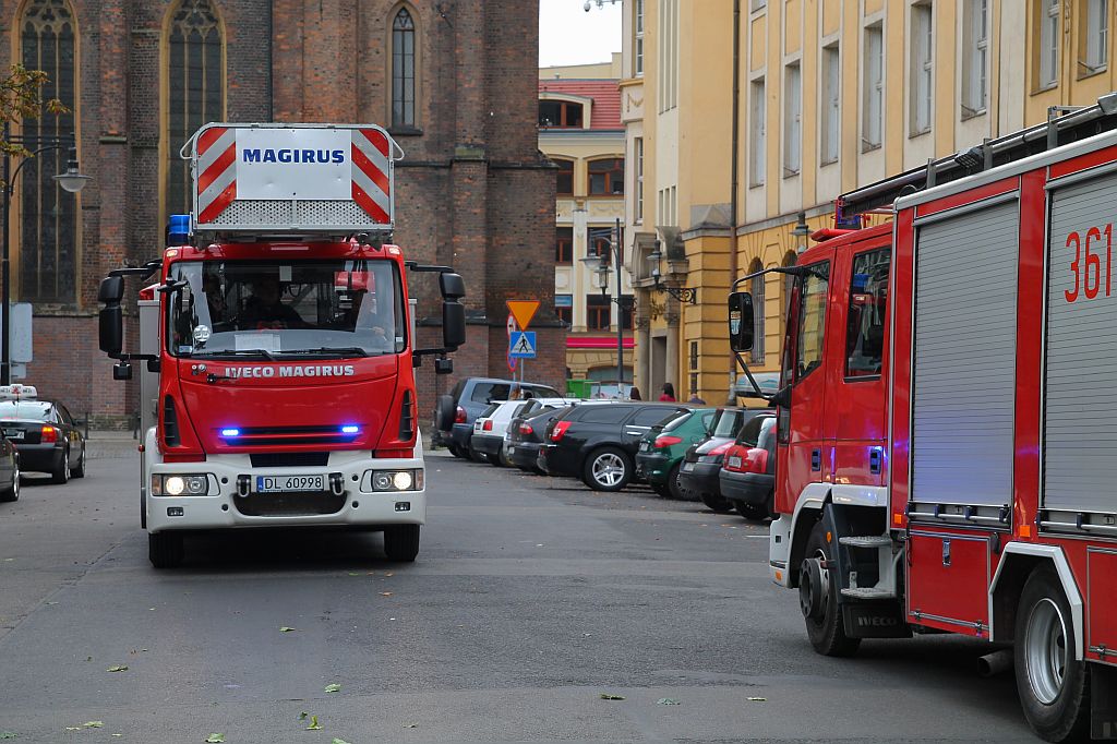 W centrum Legnicy runął pomnik ... przyrody