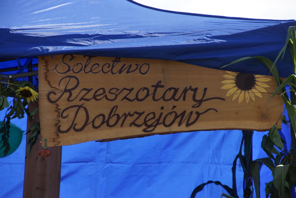 Gmina Miłkowice świętowała dożynki
