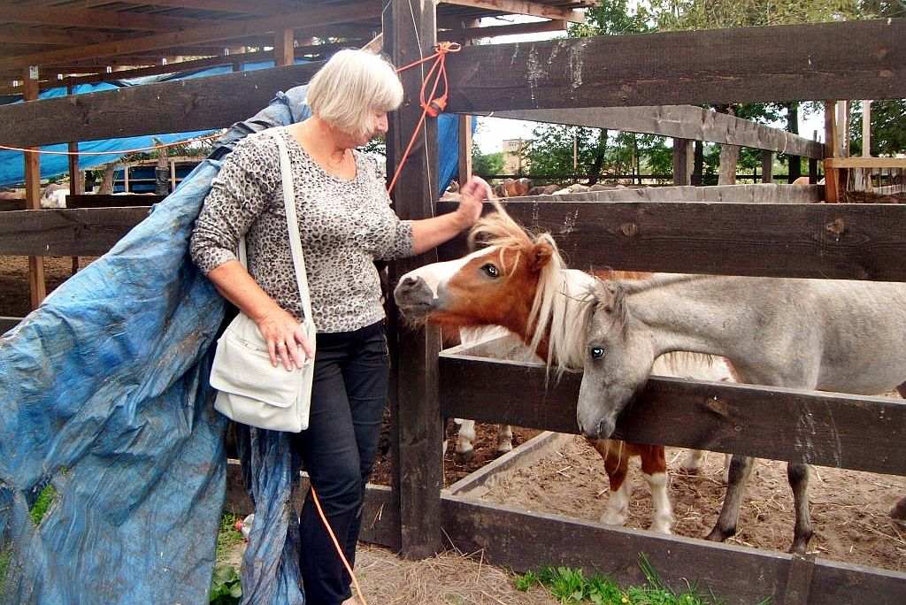 Dni Otwarte Fundacji Centaurus w Szczedrzykowicach od środka