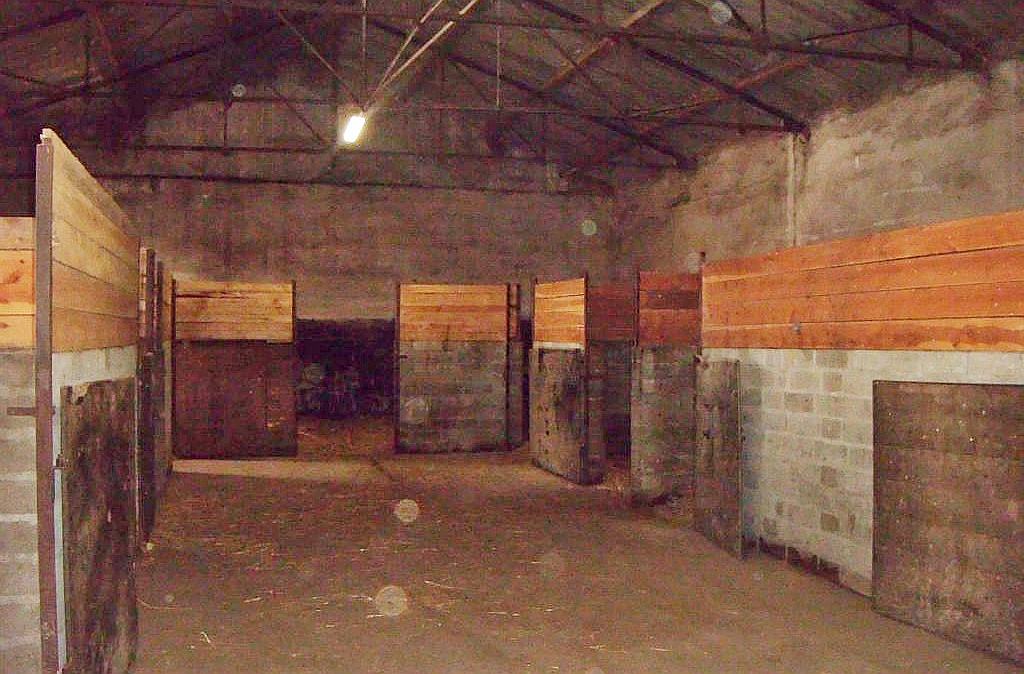 Dni Otwarte Fundacji Centaurus w Szczedrzykowicach od środka