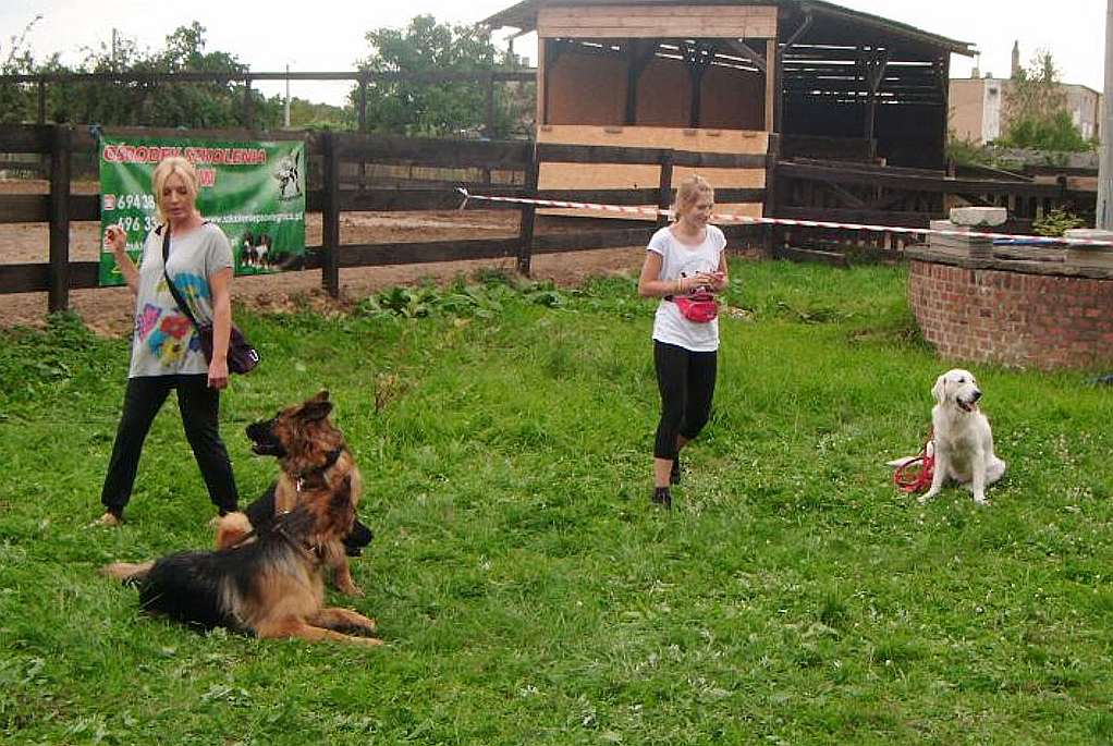 Dni Otwarte Fundacji Centaurus w Szczedrzykowicach od środka