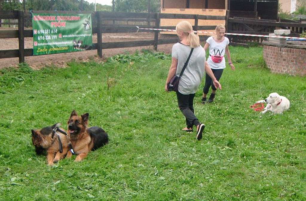 Dni Otwarte Fundacji Centaurus w Szczedrzykowicach od środka