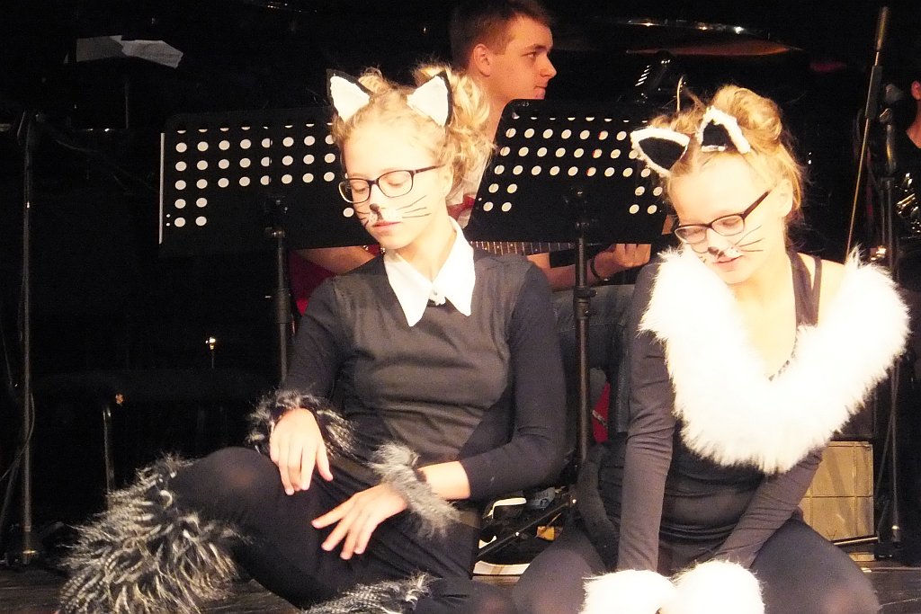 „Musicale, musicale” - w czwartek premiera