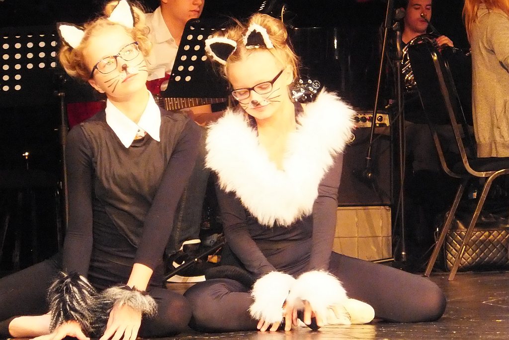 „Musicale, musicale” - w czwartek premiera