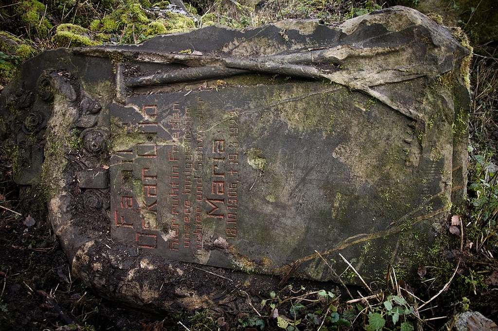 Liegnitz.pl odnalazła prawdziwe skarby