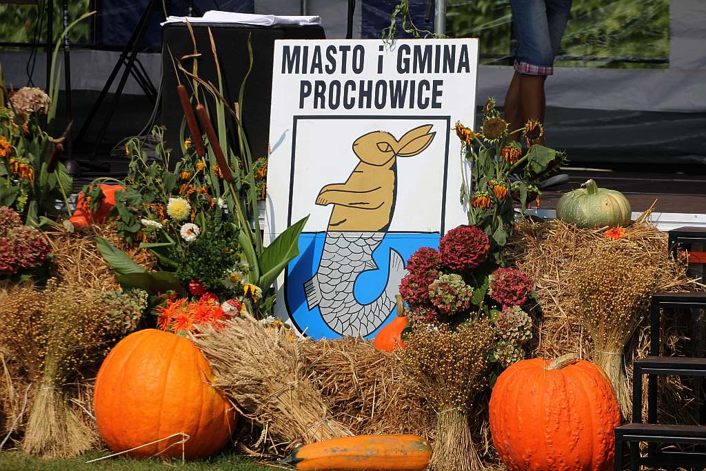 Gminne dożynki w Prochowicach