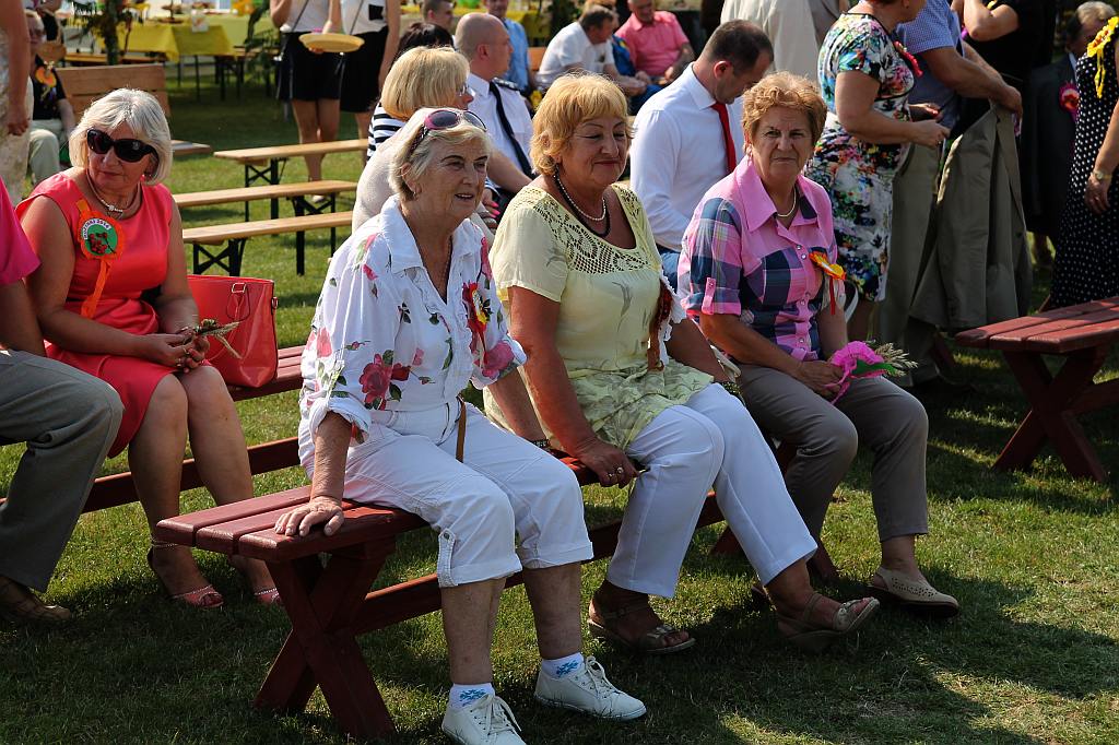 Gminne dożynki w Prochowicach