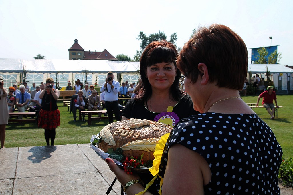 Gminne dożynki w Prochowicach